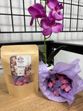 Wax Melt Higo