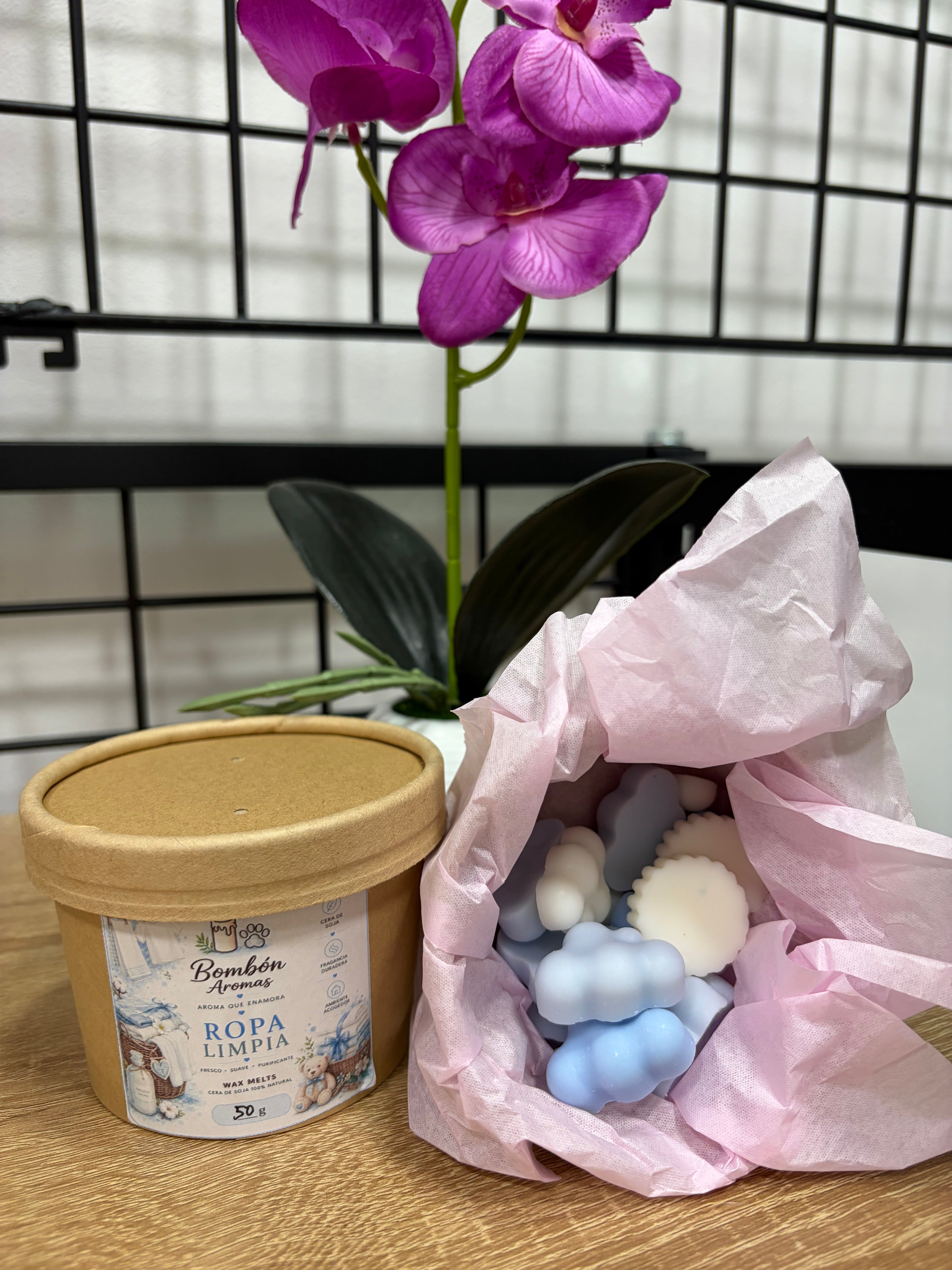 Wax Melt Ropa Limpia 🧺
