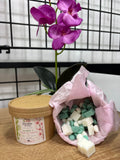 Wax Melt aroma a bambú y flor de cerezo 🌸
